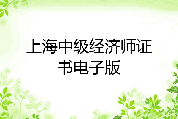上海中级经济师证书电子版