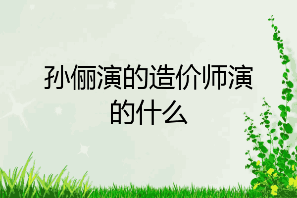 孙俪演的造价师演的什么