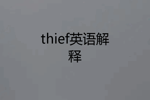 thief英语解释