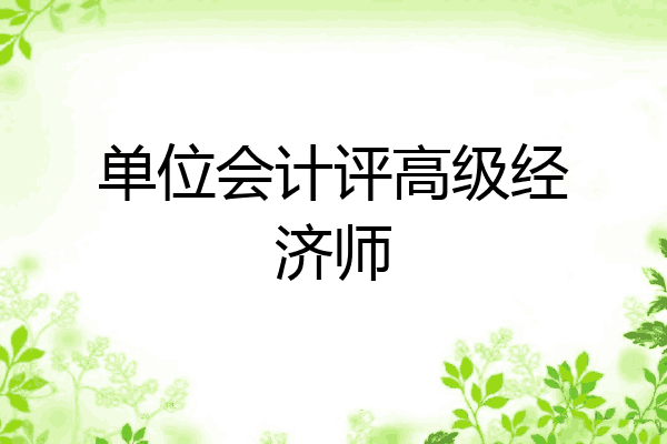 单位会计评高级经济师
