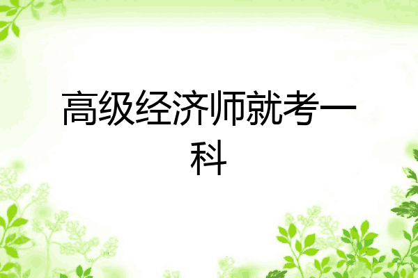 高级经济师就考一科