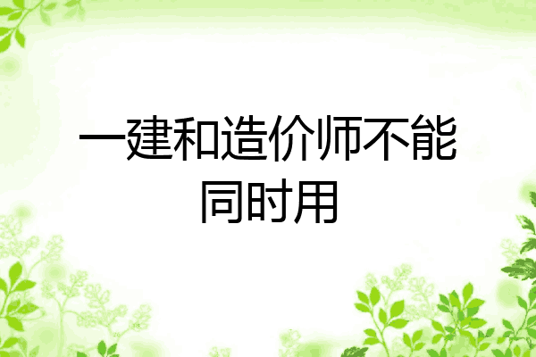 一建和造价师不能同时用