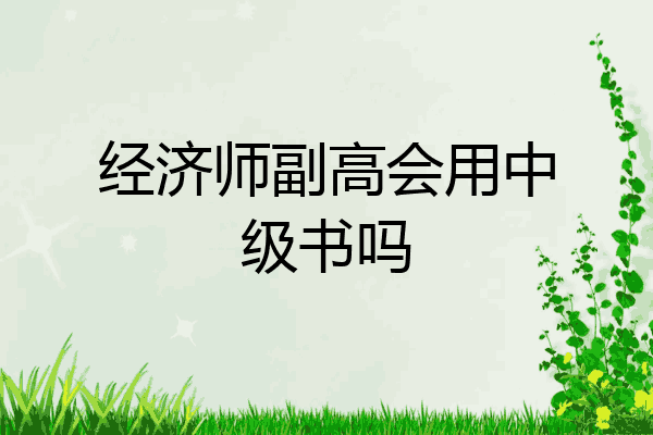 经济师副高会用中级书吗