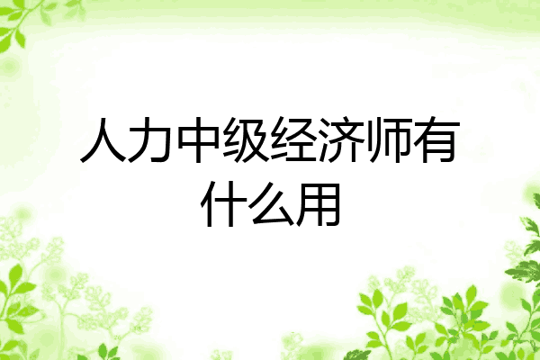人力中级经济师有什么用