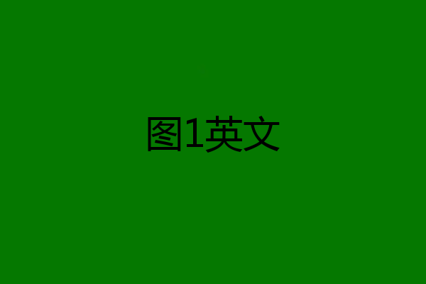 图1英文