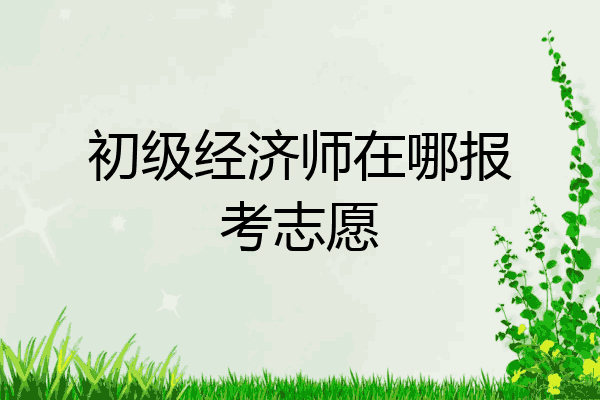 初级经济师在哪报考志愿