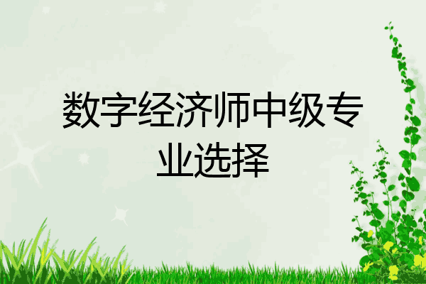 数字经济师中级专业选择