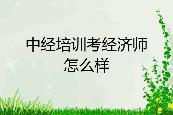 中经培训考经济师怎么样