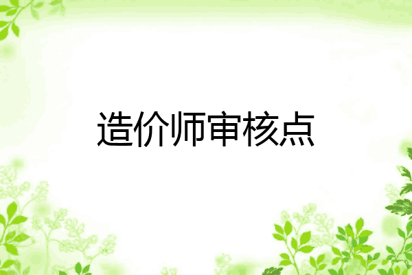 造价师审核点