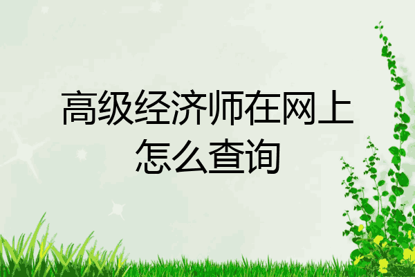 高级经济师在网上怎么查询