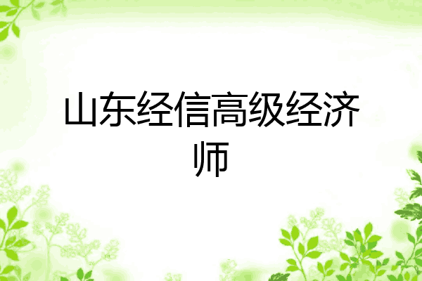 山东经信高级经济师