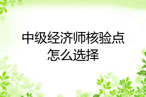 中级经济师核验点怎么选择