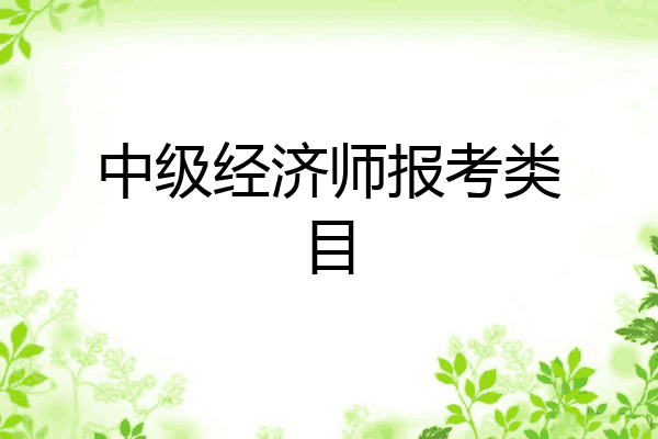 中级经济师报考类目