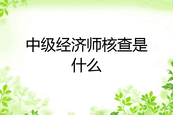 中级经济师核查是什么