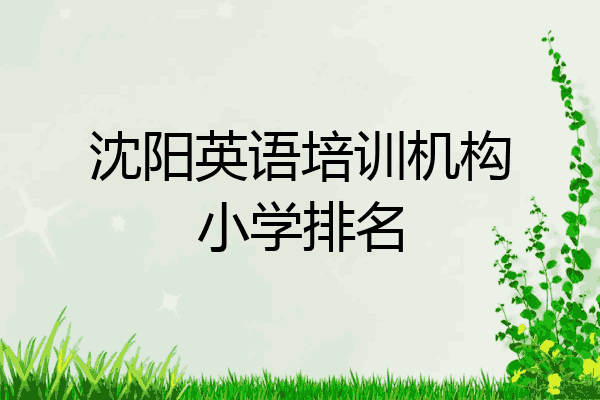 沈阳英语培训机构小学排名