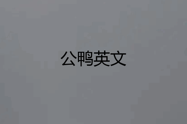 公鸭英文