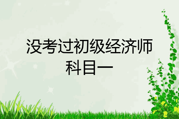 没考过初级经济师科目一