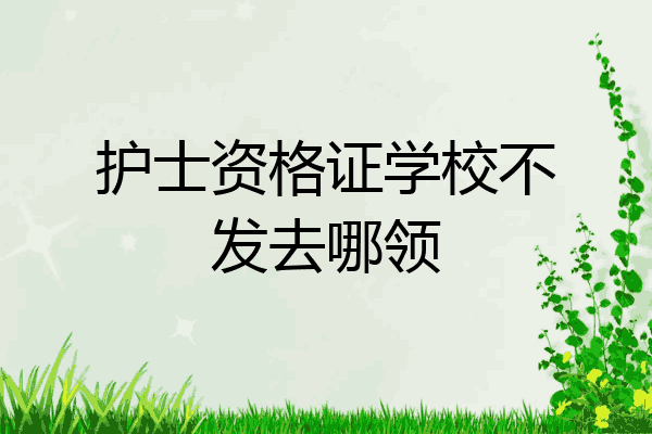 护士资格证学校不发去哪领
