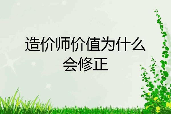 造价师价值为什么会修正