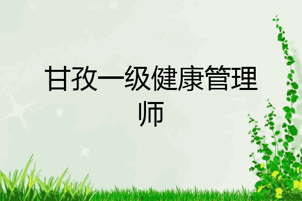 甘孜一级健康管理师
