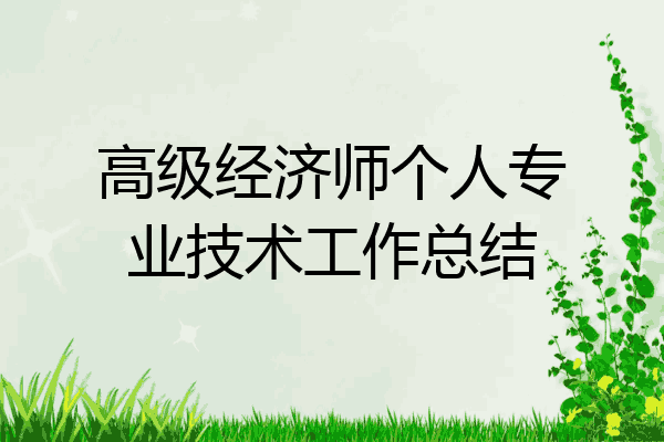 高级经济师个人专业技术工作总结
