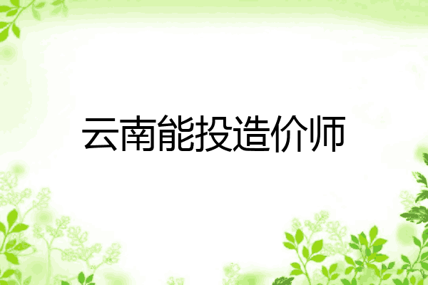 云南能投造价师