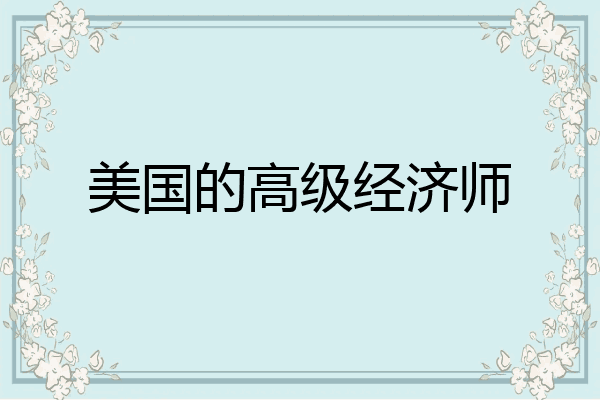 美国的高级经济师
