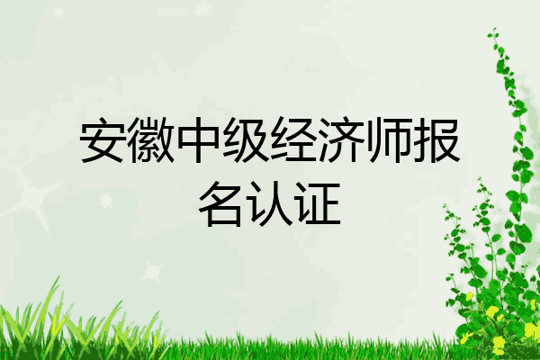 安徽中级经济师报名认证