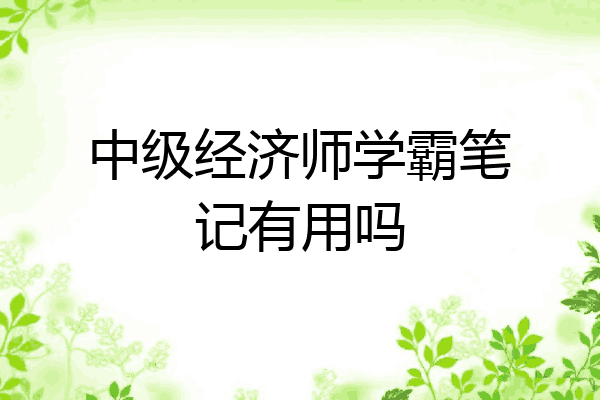 中级经济师学霸笔记有用吗