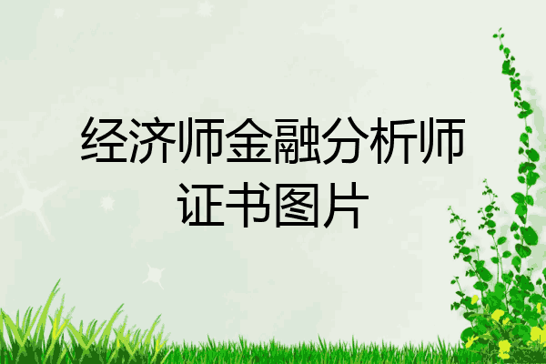 经济师金融分析师证书图片