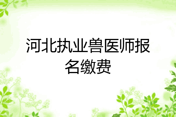 河北执业兽医师报名缴费