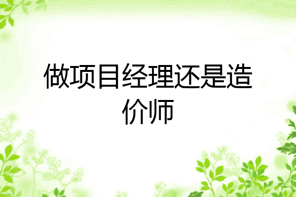 做项目经理还是造价师