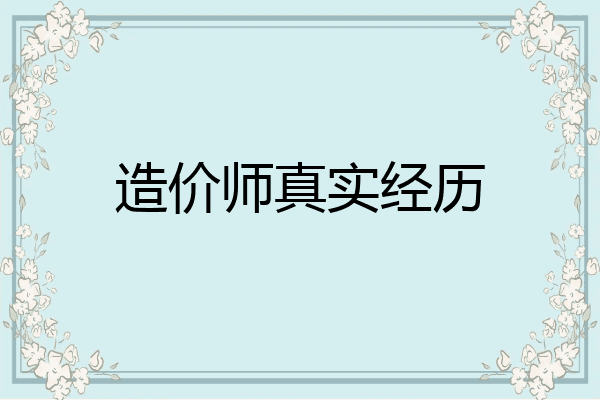 造价师真实经历