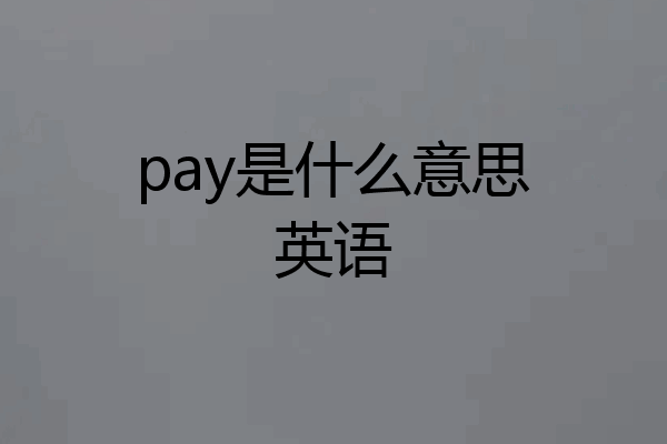 pay是什么意思英语