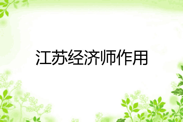江苏经济师作用