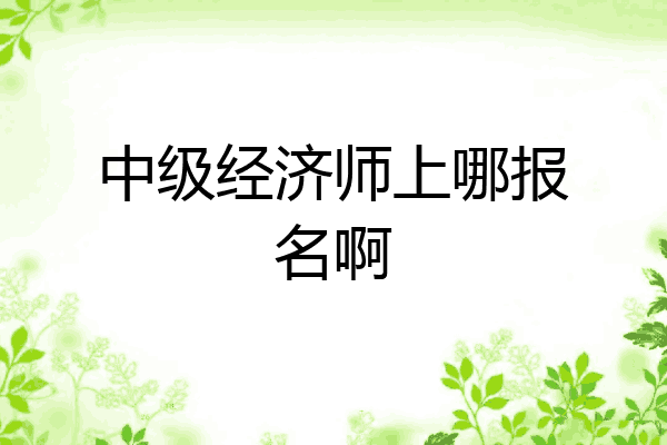 中级经济师上哪报名啊