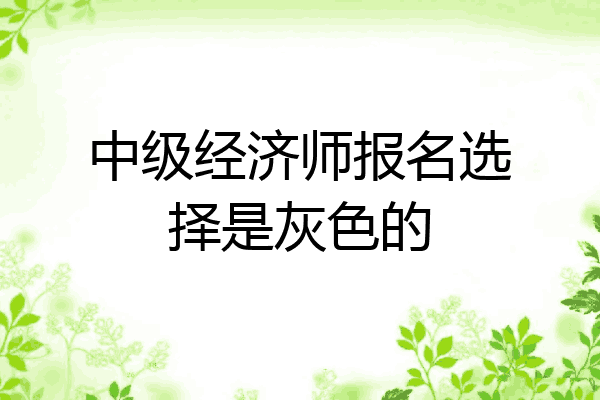 中级经济师报名选择是灰色的