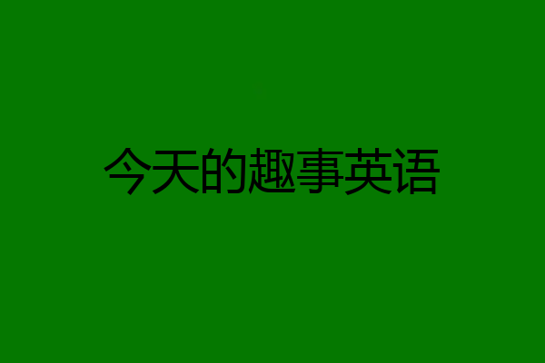 今天的趣事英语