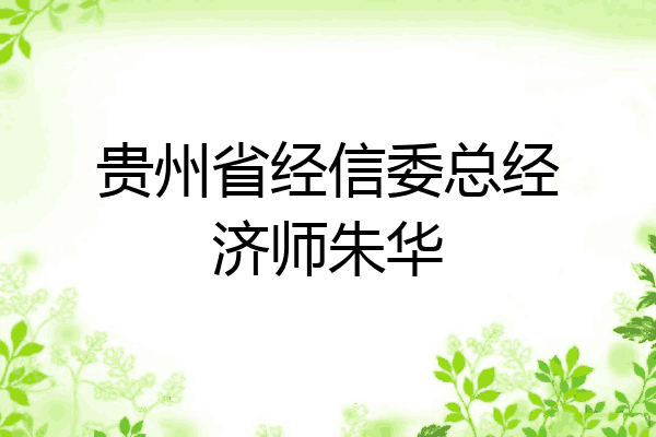 贵州省经信委总经济师朱华