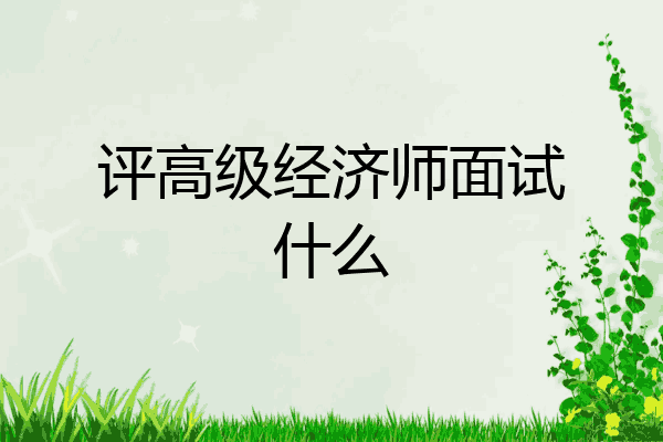 评高级经济师面试什么