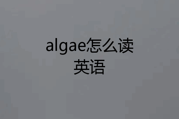 algae怎么读英语