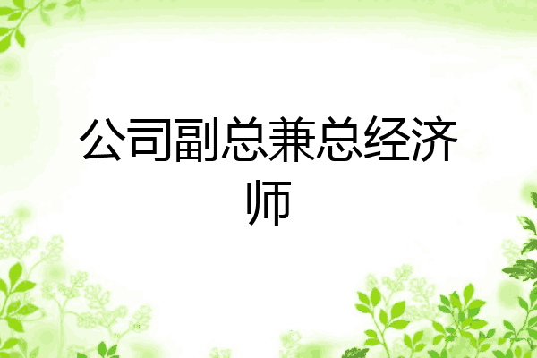 公司副总兼总经济师