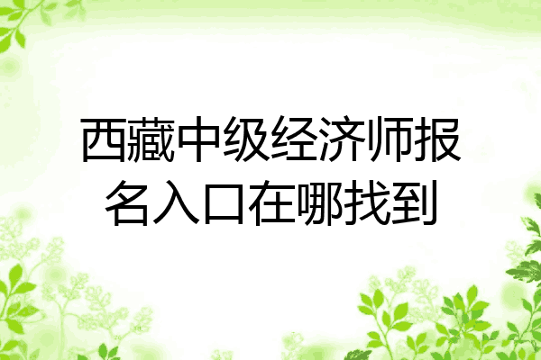 西藏中级经济师报名入口在哪找到