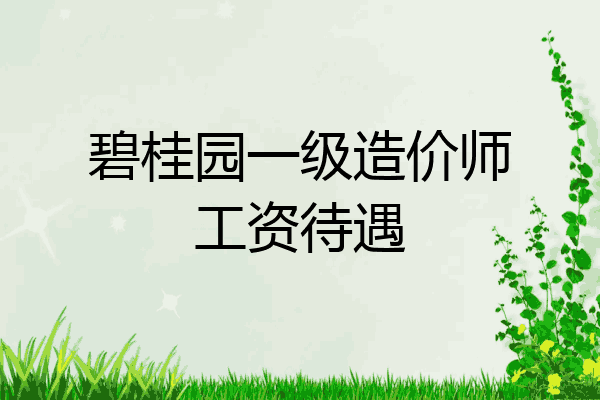 碧桂园一级造价师工资待遇