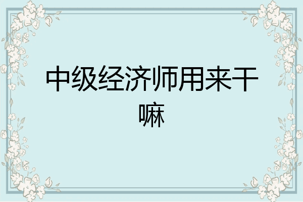 中级经济师用来干嘛