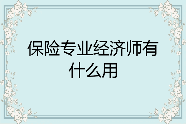 保险专业经济师有什么用