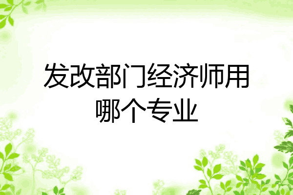 发改部门经济师用哪个专业