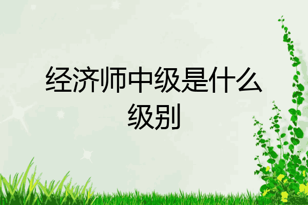 经济师中级是什么级别