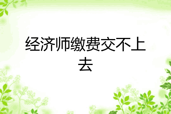 经济师缴费交不上去