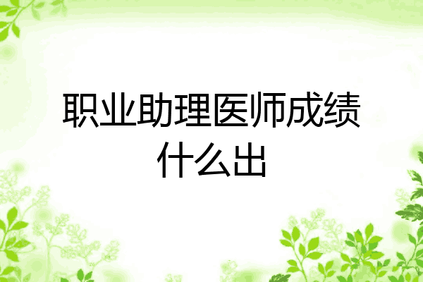 职业助理医师成绩什么出